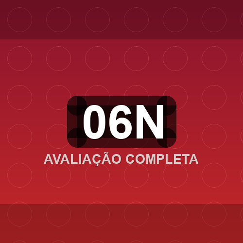 06n logo