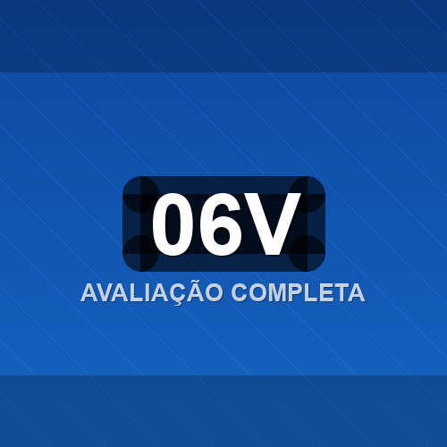 06v logo