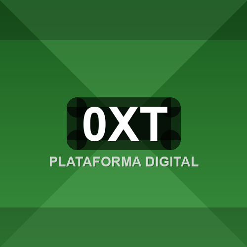 0xt logo
