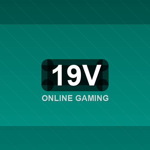 19v logo