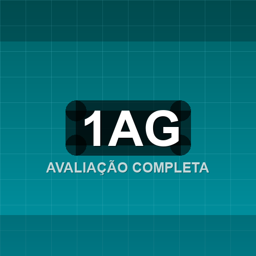 1ag logo