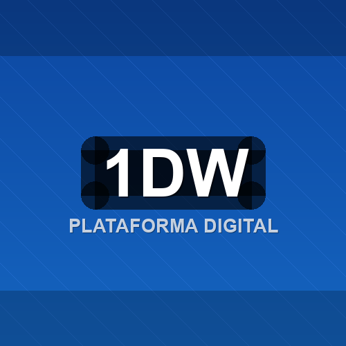 1dw logo