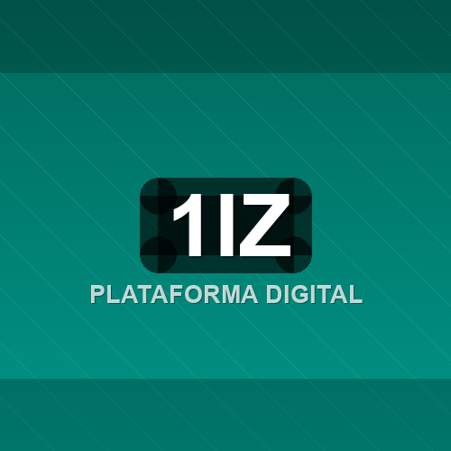 1iz logo