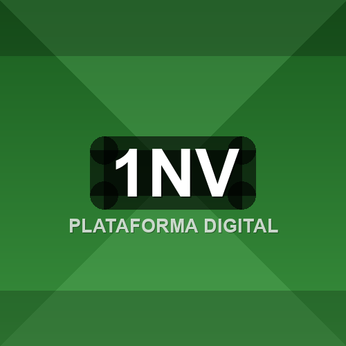 1nv logo