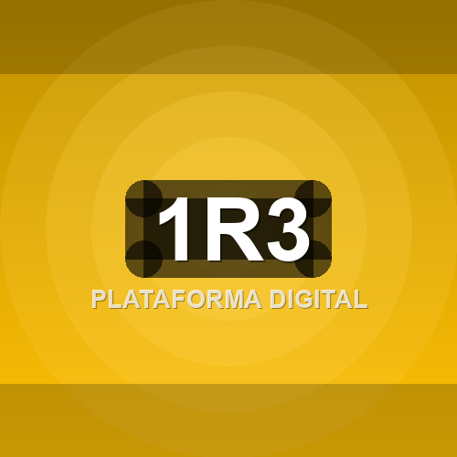 1r3 logo
