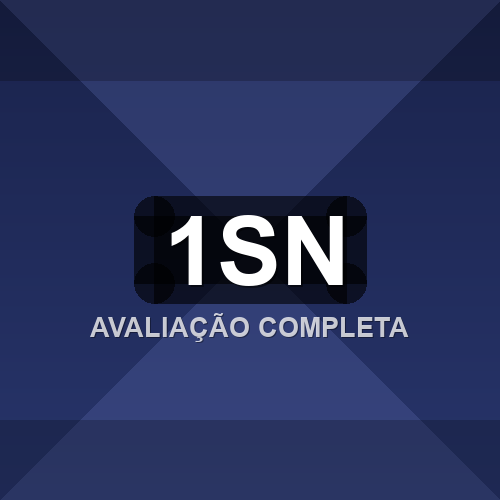 1sn logo