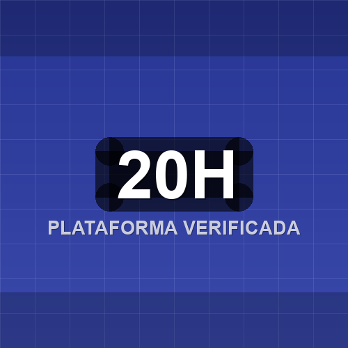 20h logo