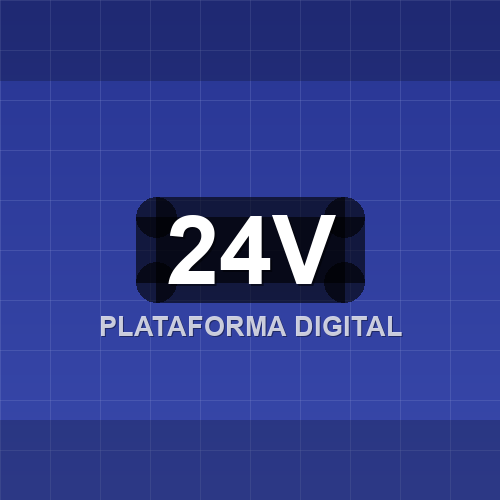 24v logo