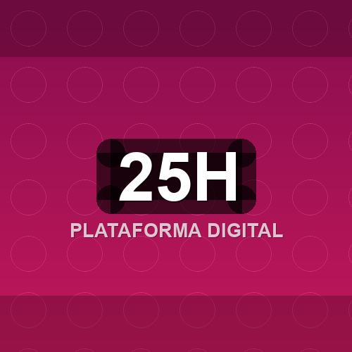 25h logo