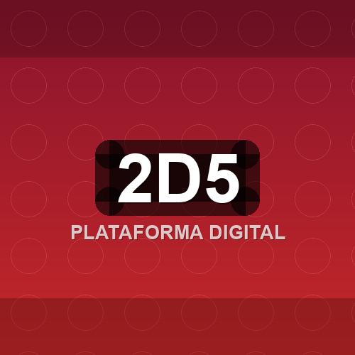 2d5 logo