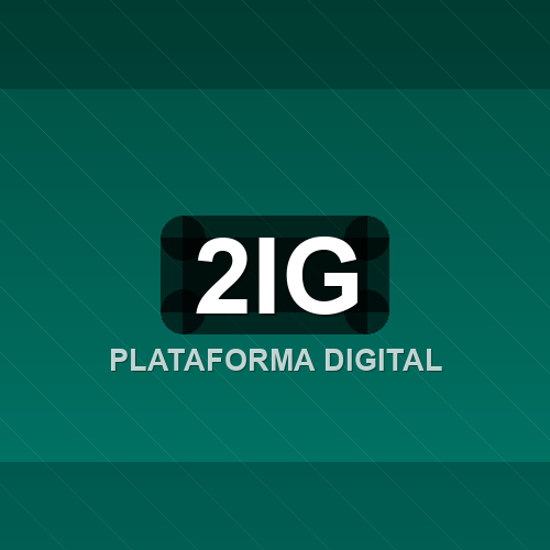 2ig logo