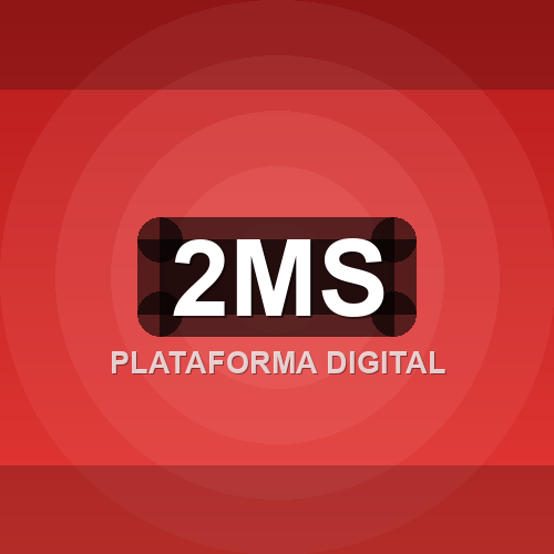 2ms logo