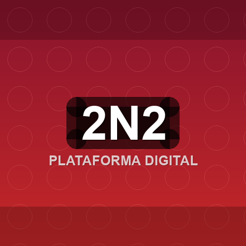 2n2 logo