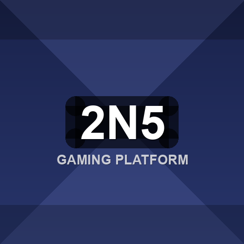 2n5 logo