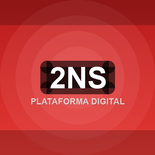 2ns logo