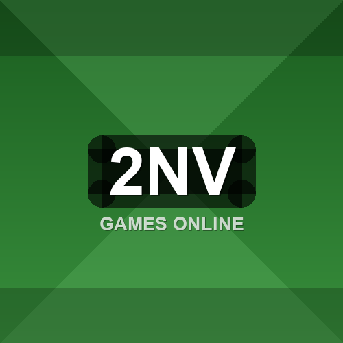 2nv logo