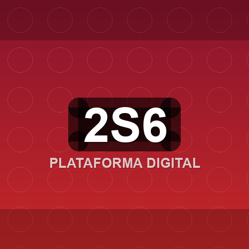 2s6 logo