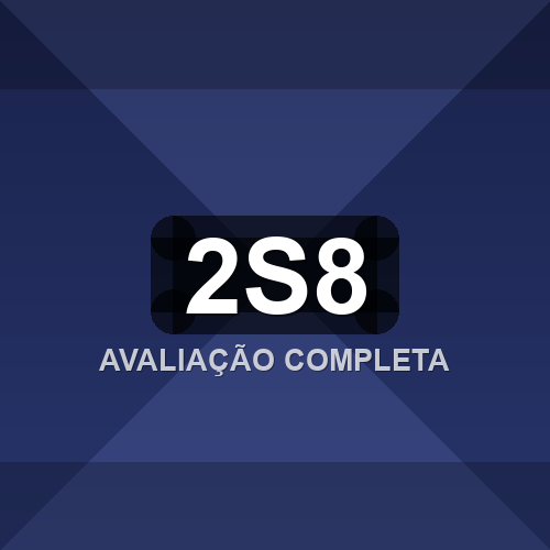 2s8 logo
