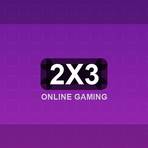2x3 logo