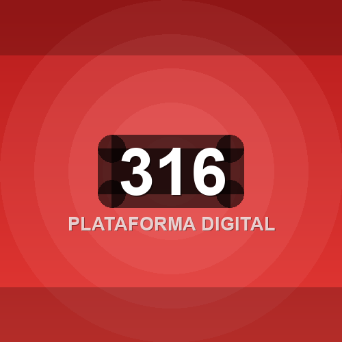 316 logo