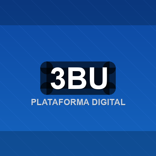 3bu logo