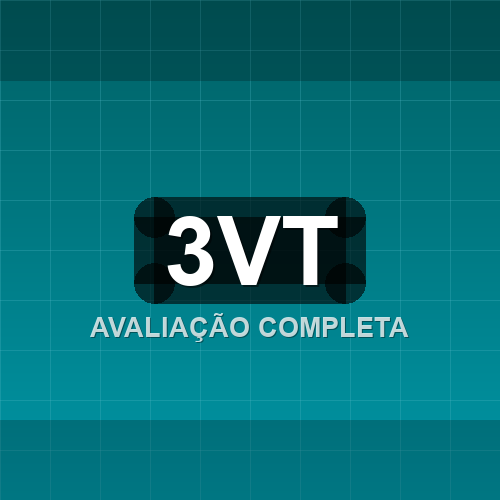 3vt logo