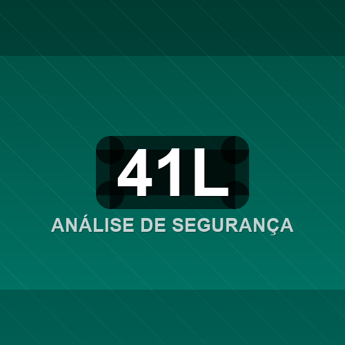 41l logo