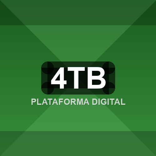 4tb logo