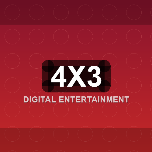 4x3 logo