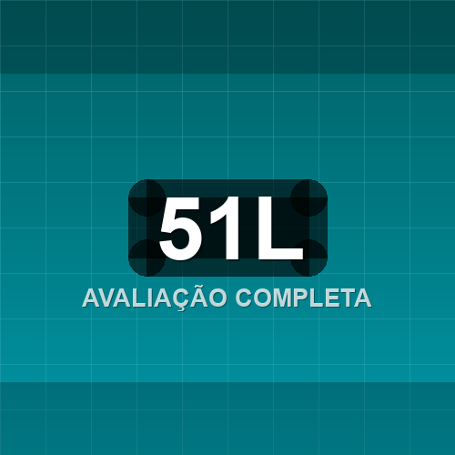 51l logo