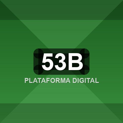 53b logo