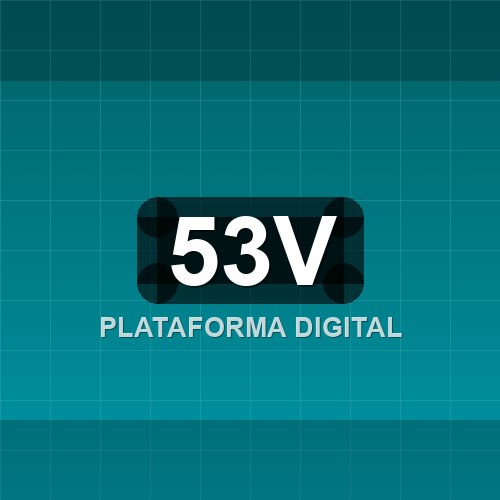 53v logo