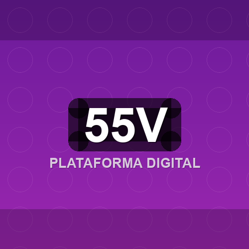 55v logo