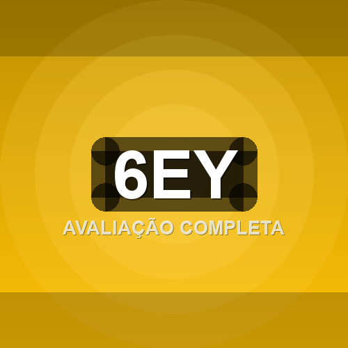 6ey logo