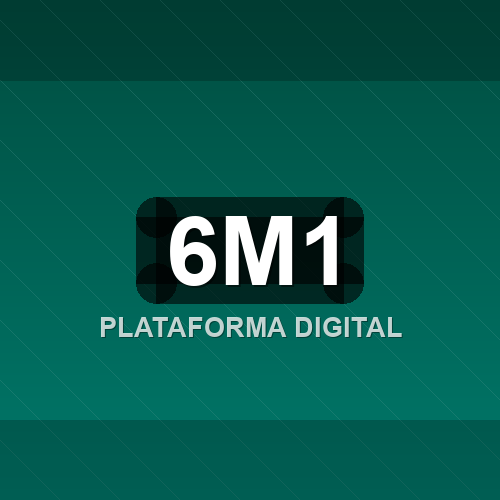 6m1 logo