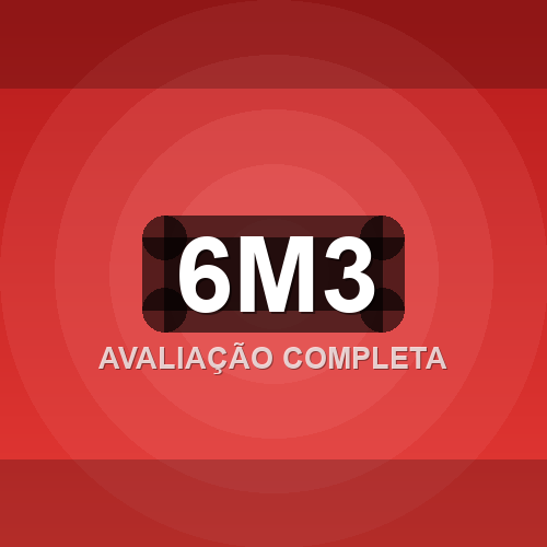 6m3 logo