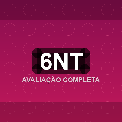 6nt logo