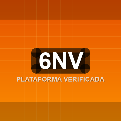 6nv logo