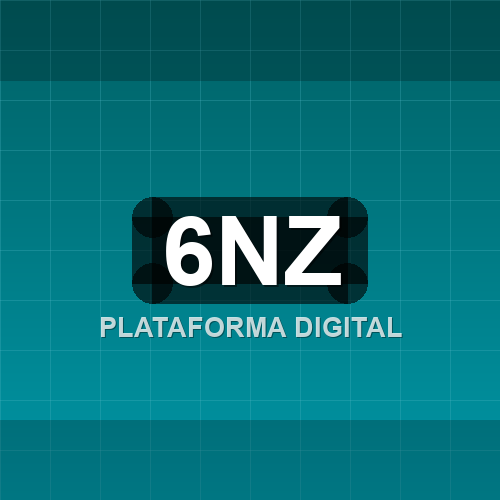 6nz logo