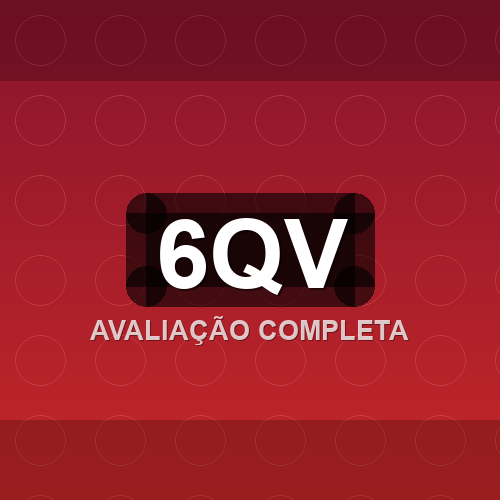 6qv logo