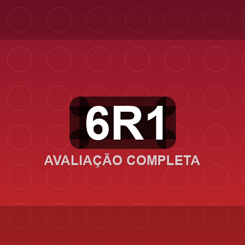 6r1 logo