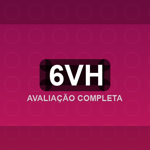 6vh logo