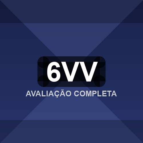 6vv logo