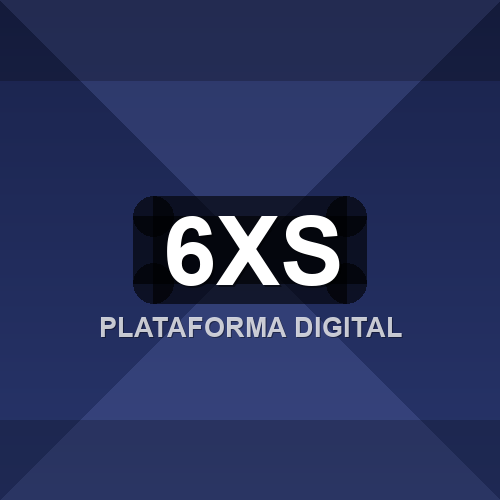 6xs logo
