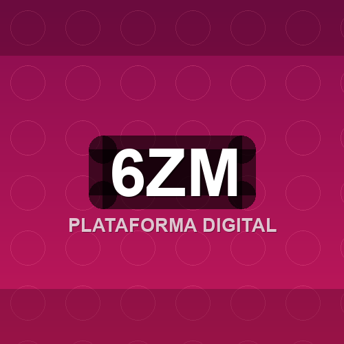 6zm logo