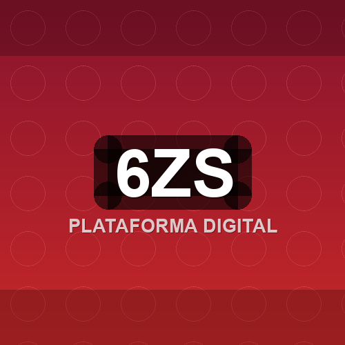 6zs logo