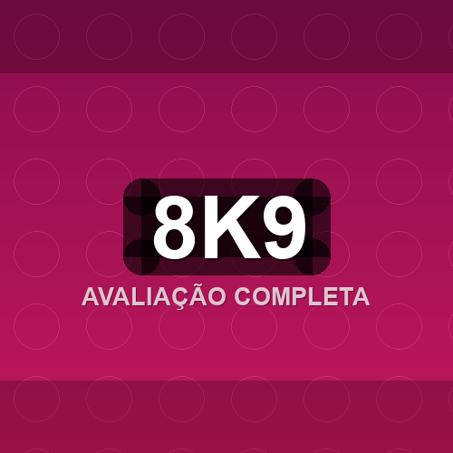 8k9 logo