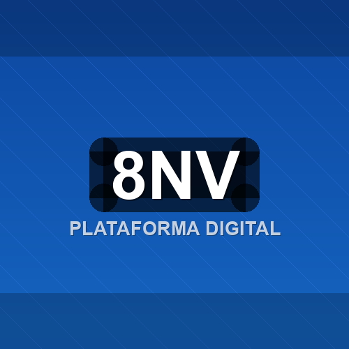 8nv logo