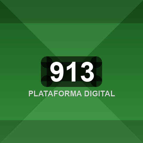 913 logo