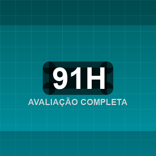 91h logo